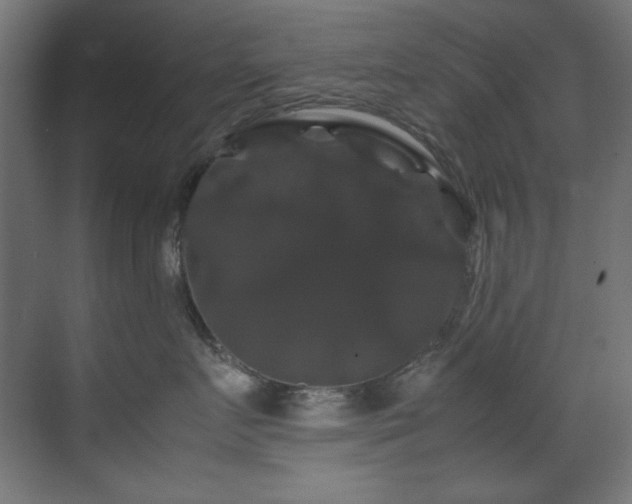 X0000070170719200605261156