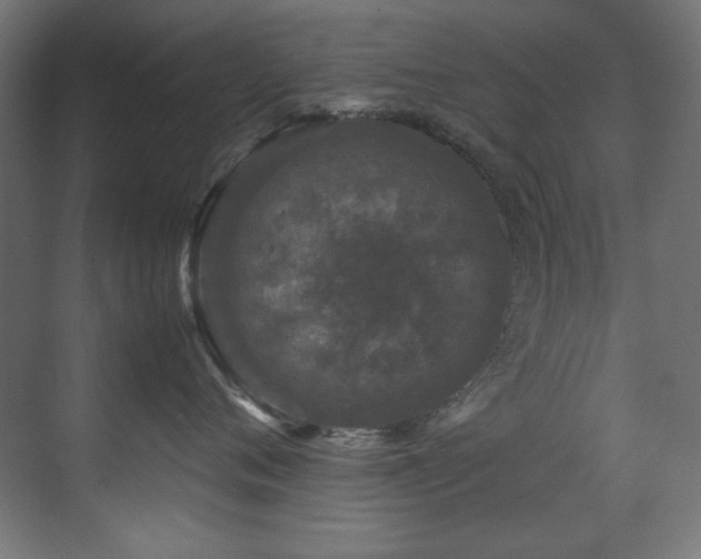 X0000070170720200605261156