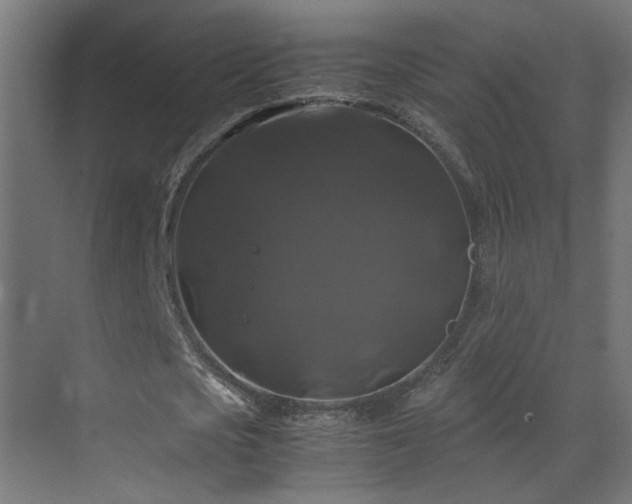X0000070170721200605261155