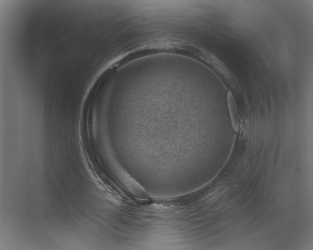 X0000070170724200605261155