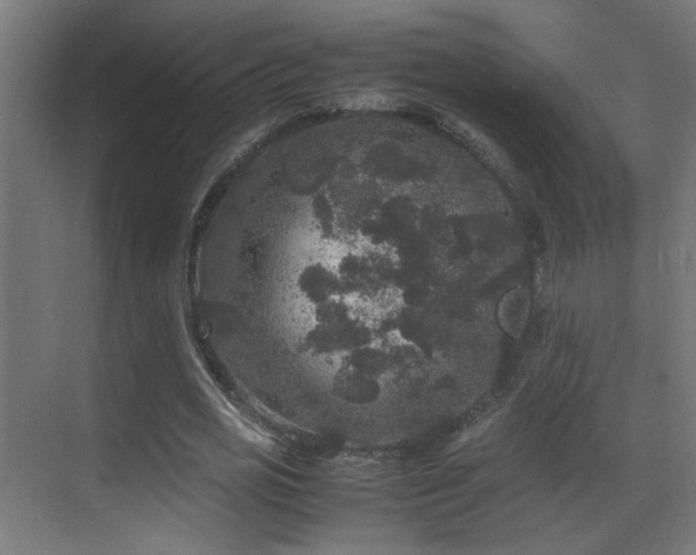 X0000070170725200605261155