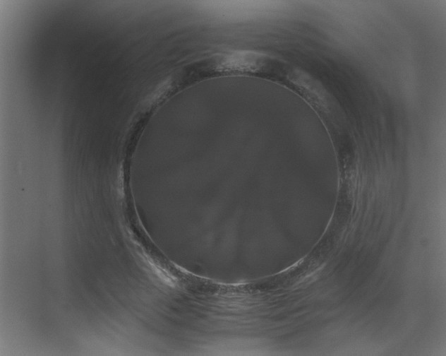 X0000070170729200605261155