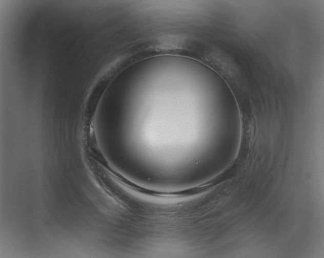 X0000070170732200605261155