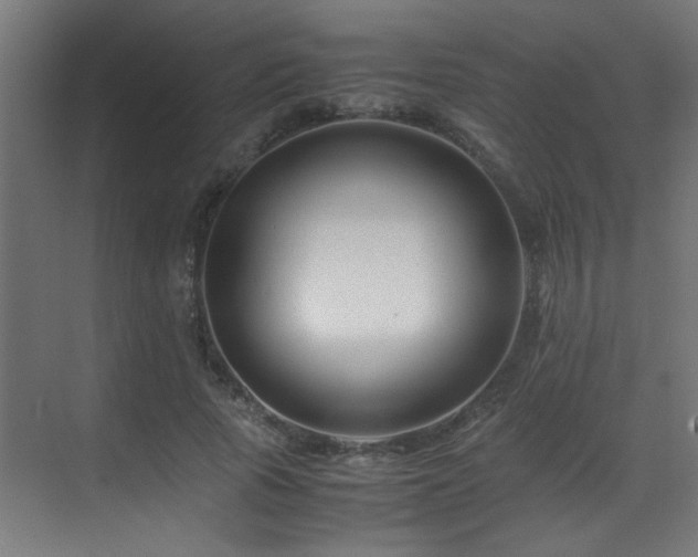 X0000070170737200605261155