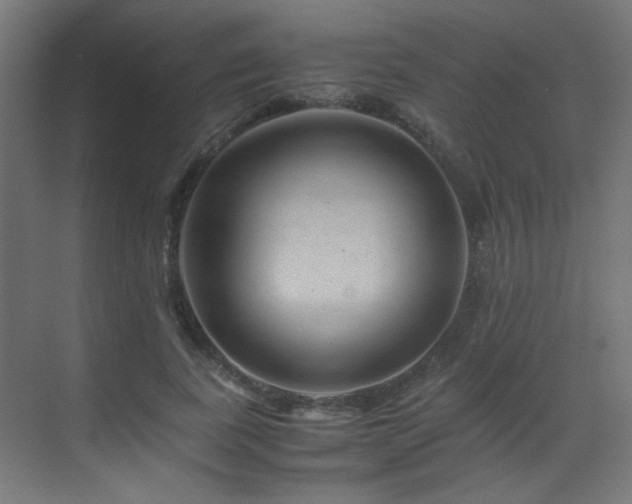 X0000070170739200605261155