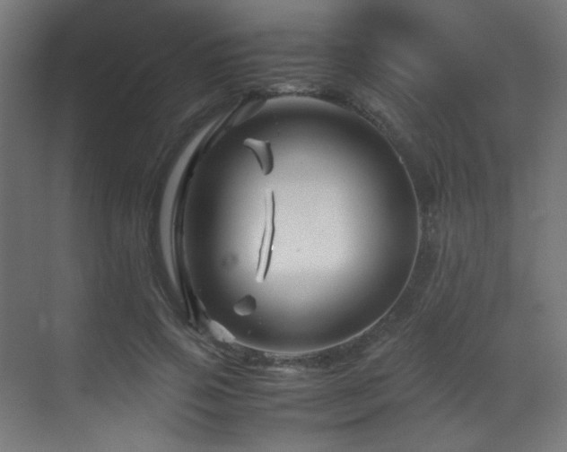 X0000070170741200605261155