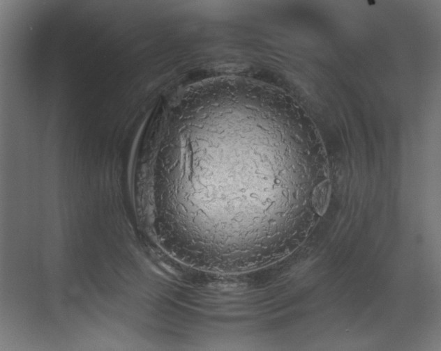 X0000070170745200605261155