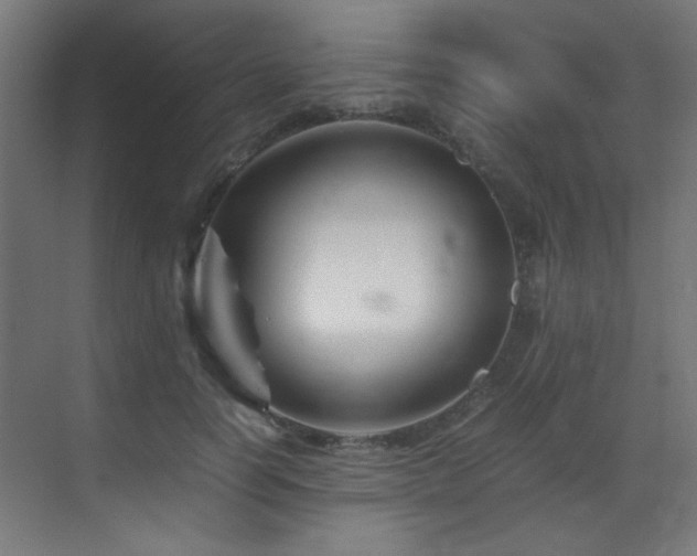 X0000070170746200605261155