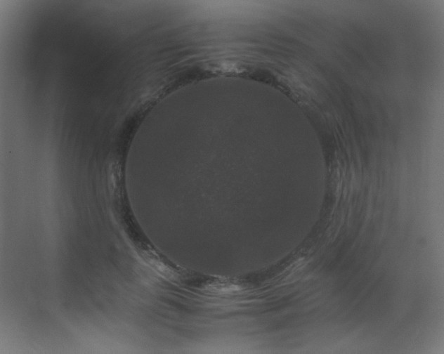X0000070170747200605261155