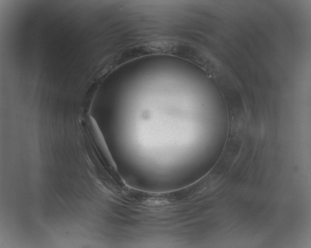 X0000070170749200605261155