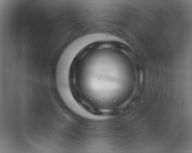 X0000070170750200605261155