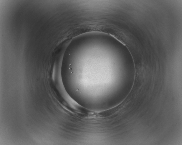 X0000070170752200605261155