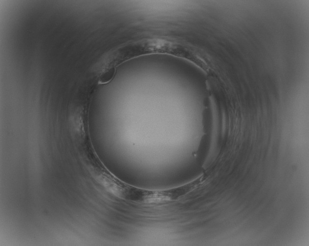 X0000070170754200605261155