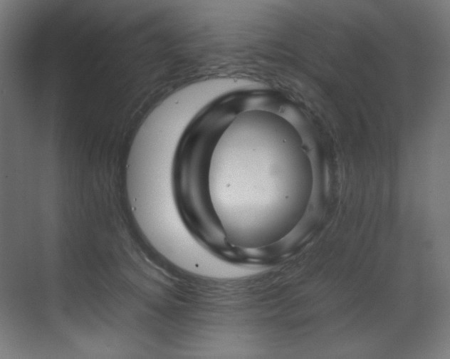 X0000070170756200605261155