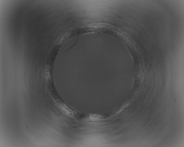 X0000070170758200605261155
