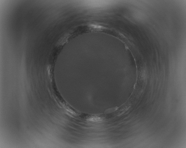 X0000070170759200605261155