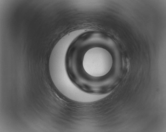 X0000070170760200605261155