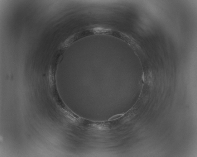X0000070170763200605261155