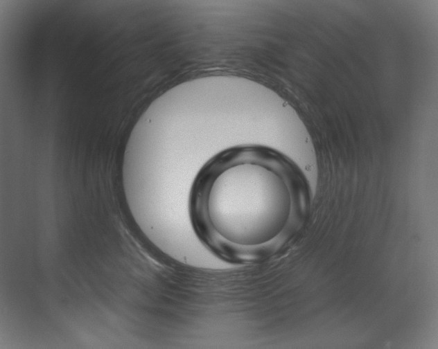 X0000070170764200605261155