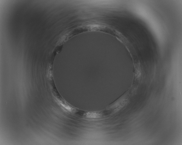 X0000070170766200605261156