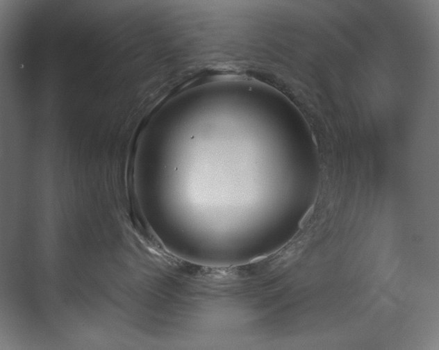 X0000070170768200605261156