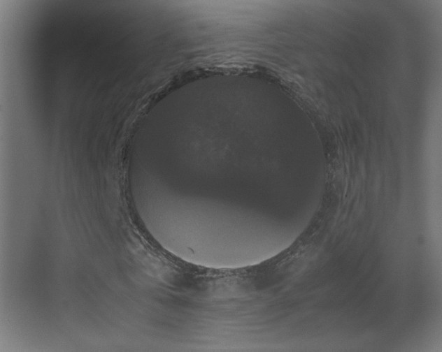 X0000070170769200605261155