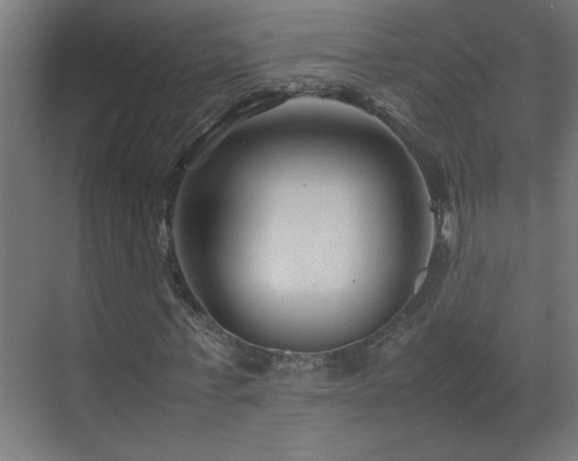 X0000070170771200605261155