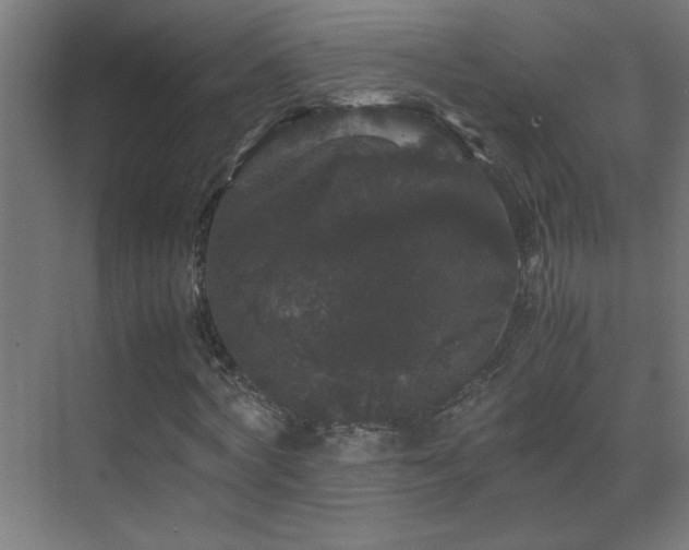 X0000070170772200605261155