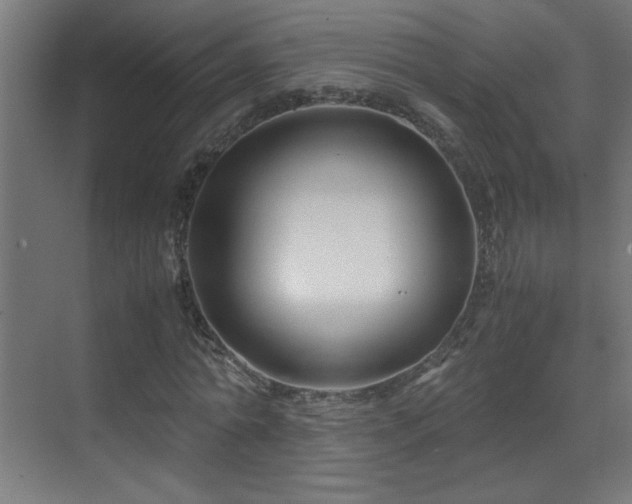 X0000070170774200605261155