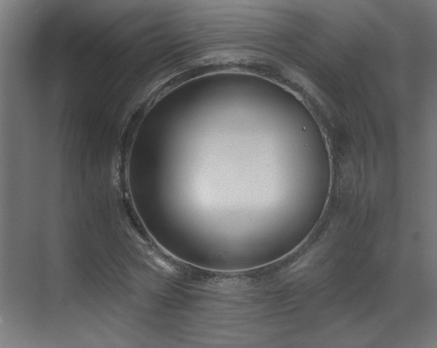 X0000070170778200605261155