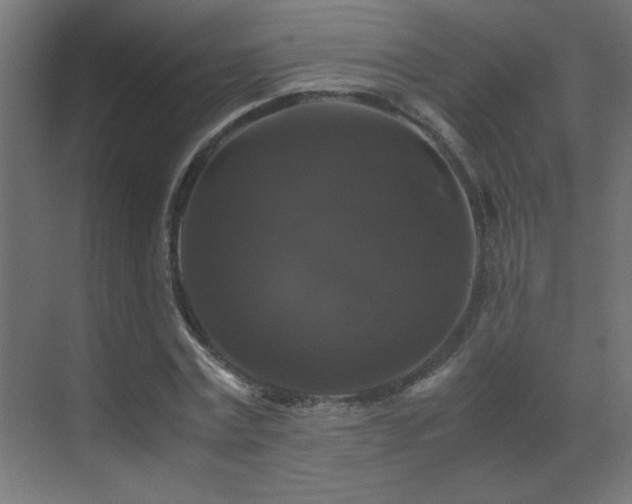 X0000070170779200605261155