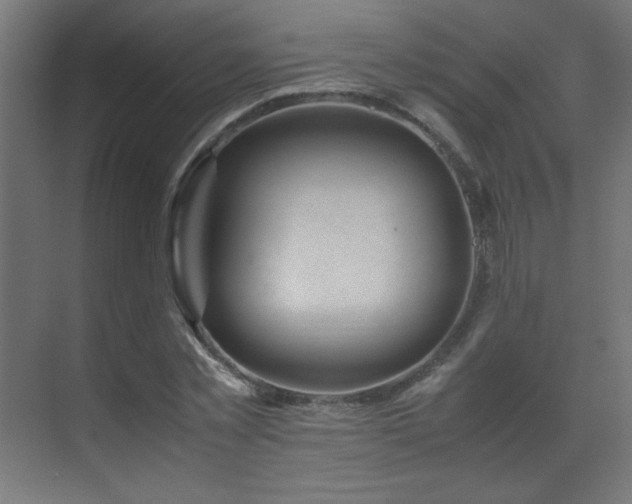 X0000070170781200605261155