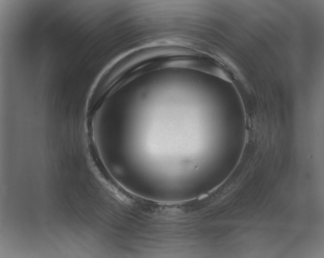 X0000070170784200605261154
