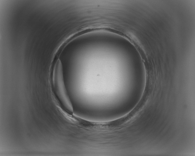 X0000070170789200605261154