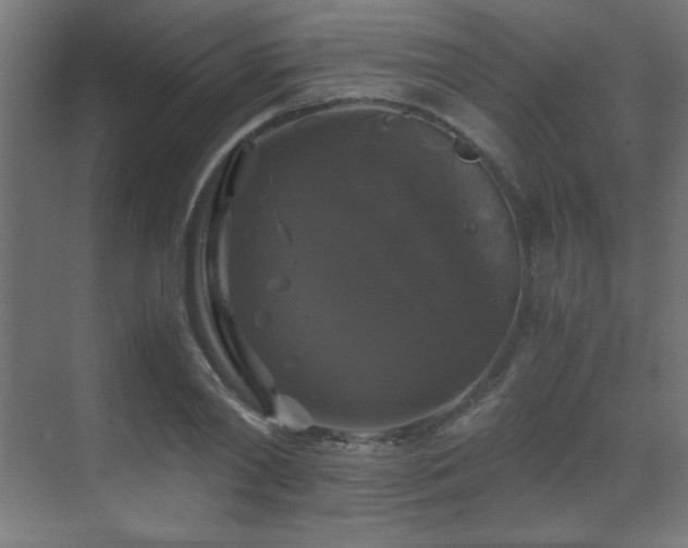 X0000070170790200605261154