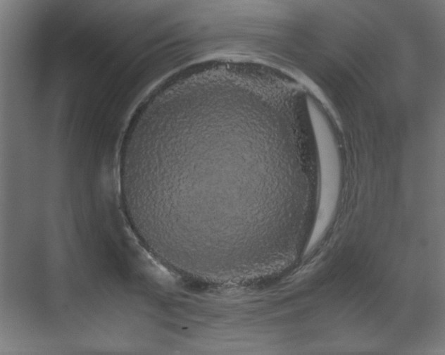 X0000070170791200605261154