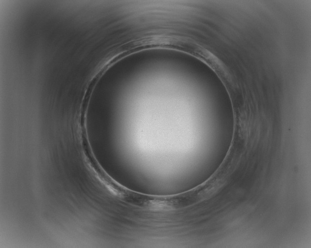 X0000070170794200605261154
