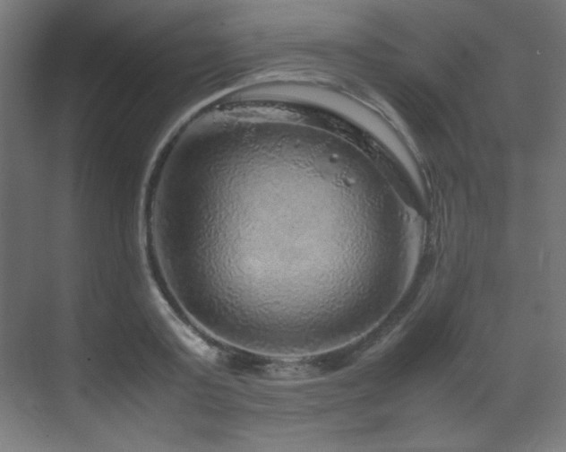 X0000070170795200605261154