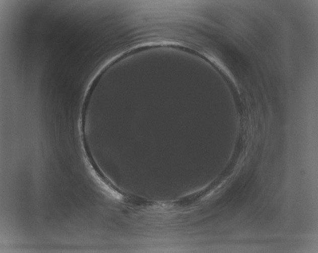 X0000070170797200605261154