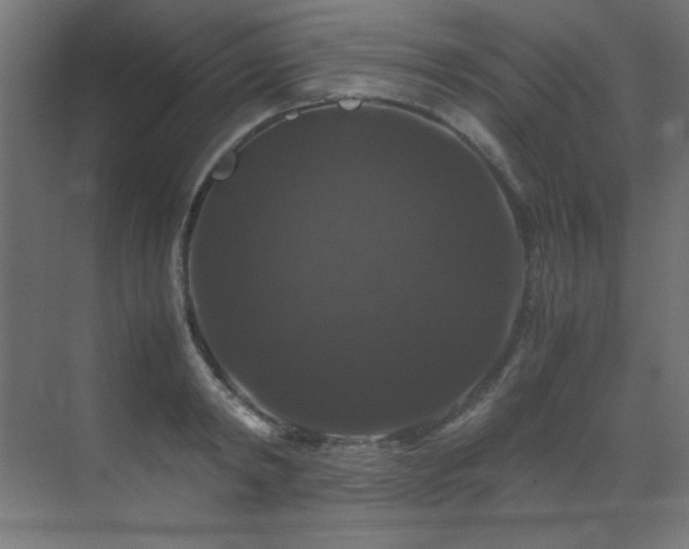 X0000070170798200605261154