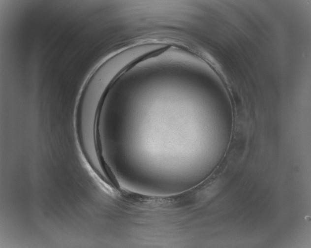 X0000070170803200605261154