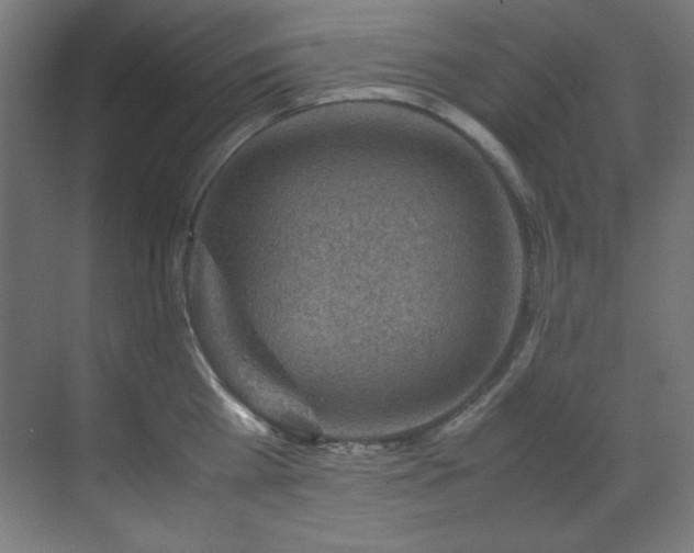 X0000070170809200605261154