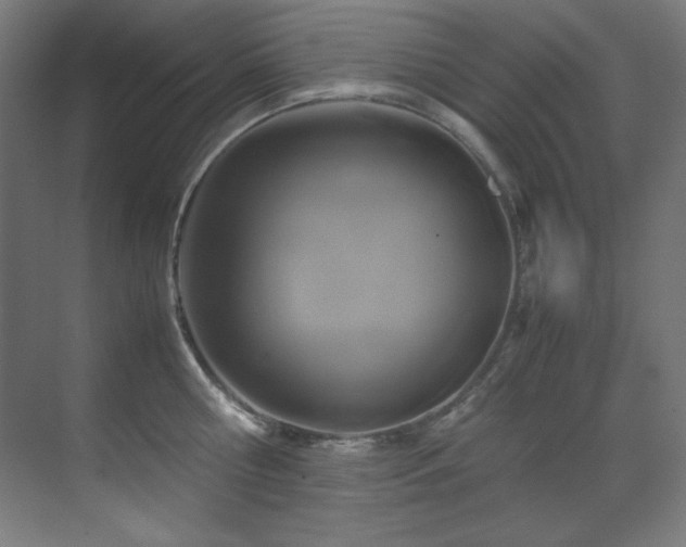 X0000070170810200605261154