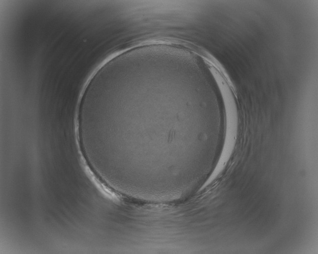 X0000070170811200605261154