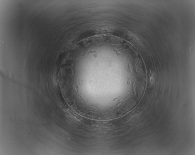 X0000070170819200605261153