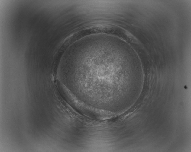 X0000070170822200605261153