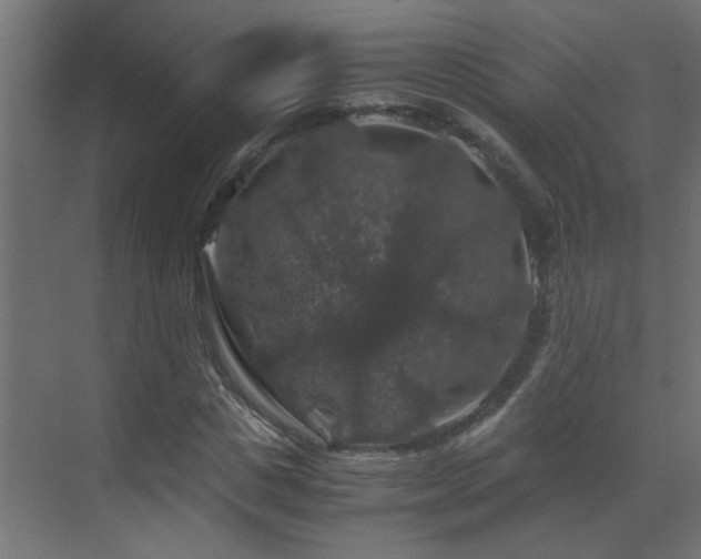 X0000070170825200605261153