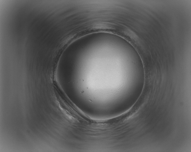 X0000070170833200605261153