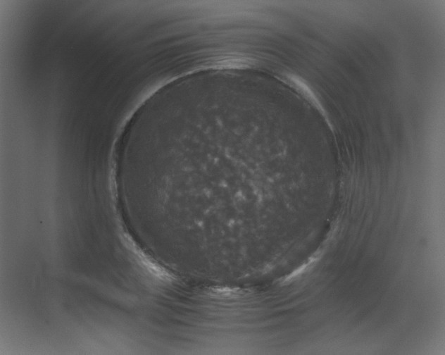 X0000070170835200605261153