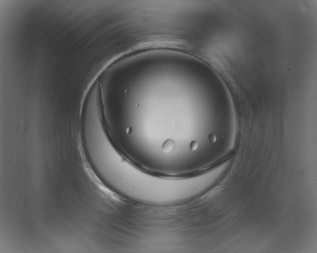 X0000070170844200605261154